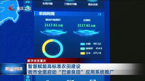重庆新闻在哪儿能够爆料,市民爆料，聚焦民生热点问题  第3张